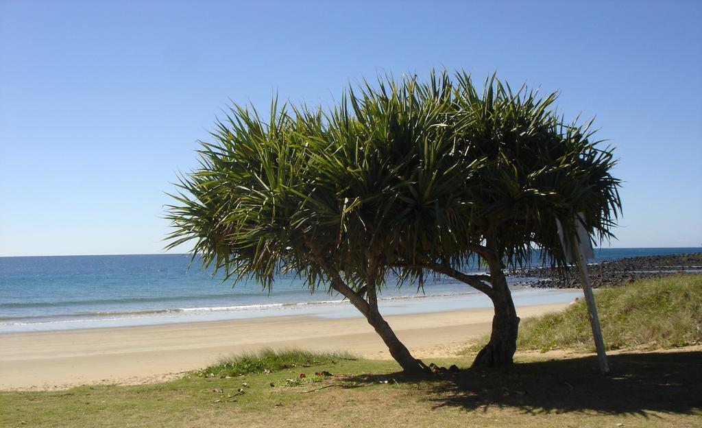 Koola Beach Apartments ברגרה מראה חיצוני תמונה